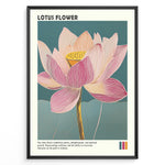 Ladda upp bild till gallerivisning, Plakater | Framed artistic illustration of a lotus flower with pink and cream petals on a teal background, accompanied by a description about its symbolism of purity, enlightenment, and spiritual growth.

