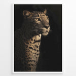 Ladda upp bild till gallerivisning, Fashion Plakat | Majestic Leopard in Shadow and Light Plakaty.dk | Portrait of a leopard in dramatic lighting, with half its face and body illuminated while the rest fades into shadow.
