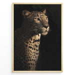 Ladda upp bild till gallerivisning, Fashion Plakat | Majestic Leopard in Shadow and Light Plakaty.dk | Portrait of a leopard in dramatic lighting, with half its face and body illuminated while the rest fades into shadow.
