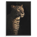 Ladda upp bild till gallerivisning, Fashion Plakat | Majestic Leopard in Shadow and Light Plakaty.dk | Portrait of a leopard in dramatic lighting, with half its face and body illuminated while the rest fades into shadow.

