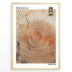 Ladda upp bild till gallerivisning, Japanske plakater | Japanese minimalist poster showing detailed concentric tree rings, representing the passage of time and growth.
